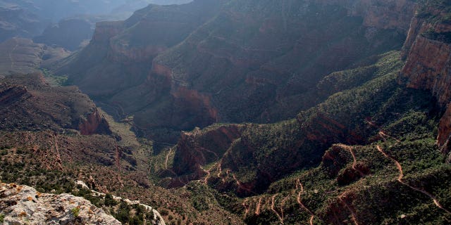 Grand Canyon National Park in AZ