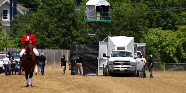 Horse euthanized