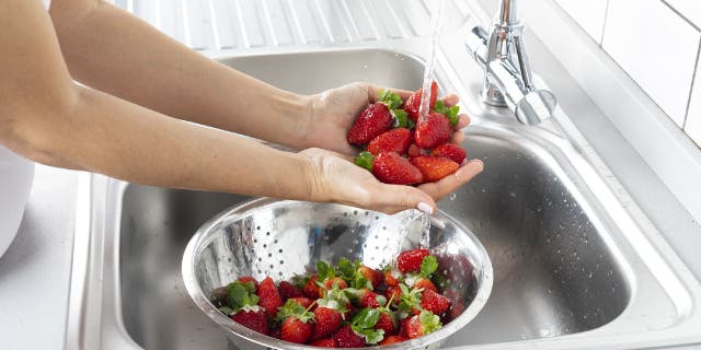 Woman is washing strawberry in a kitchen sink.