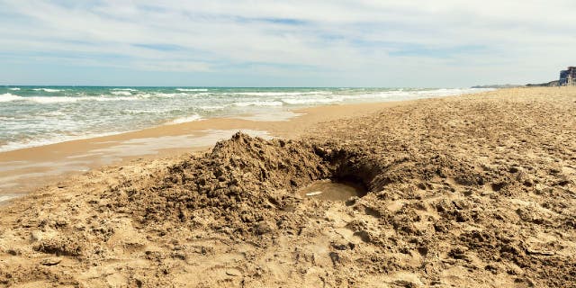 Hole dug in sand