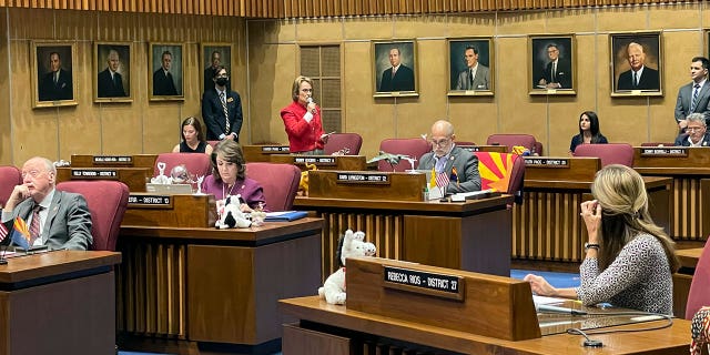 AZ Sen. Wendy Rogers