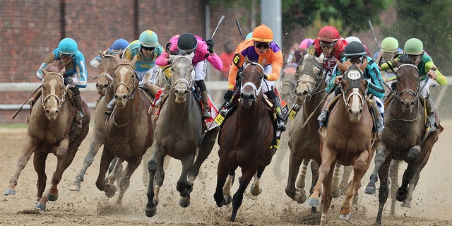 Horses in the Kentucky Derby