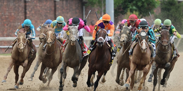 Horses at KEntucky Derby