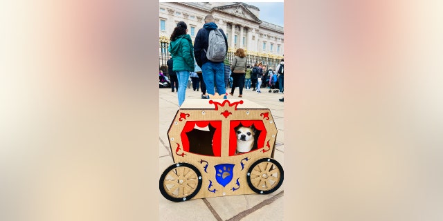 little dog in golden carriage in London