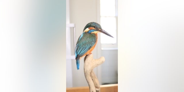 A bird from Elle Kaye's work