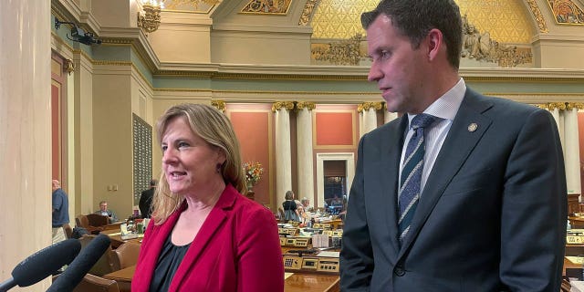 Minnesota Dems