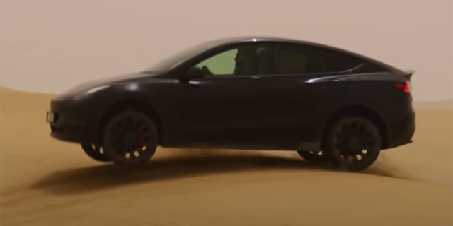 model y