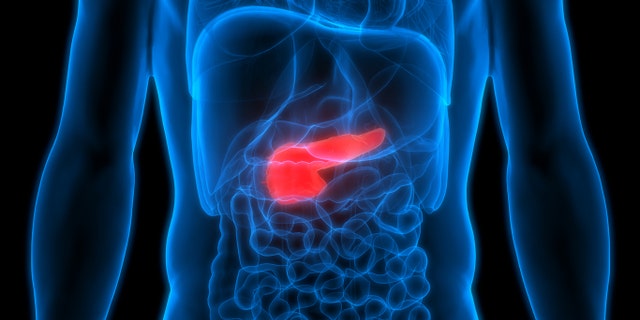 Pancreas