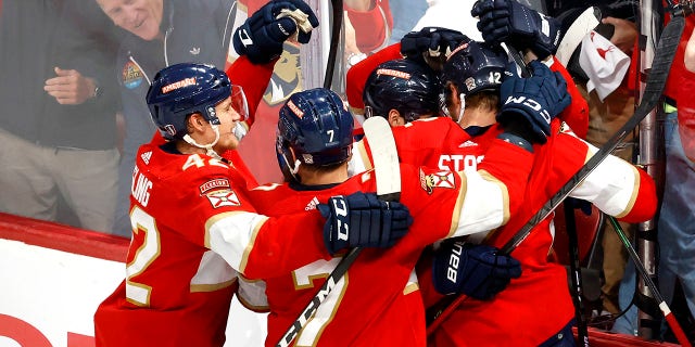 Panthers celebrate goal