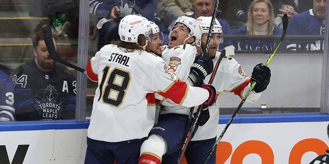 Panthers celebrate goal