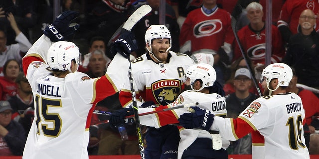 Panthers celebrate goal in overtime