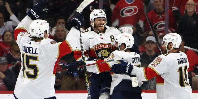 Panthers celebrate goal in overtime