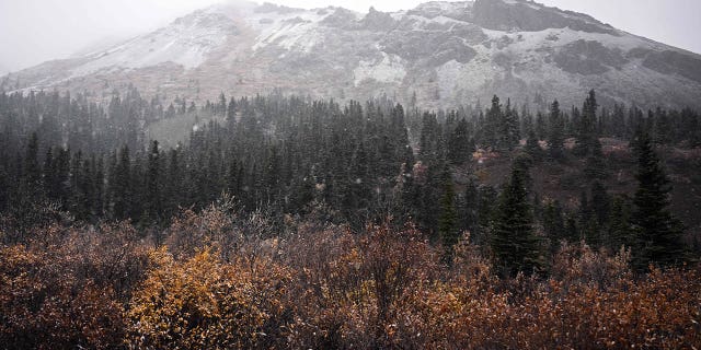 Denali National Park in AK