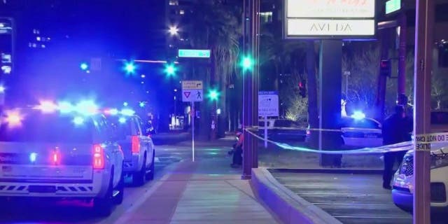 Phoenix officers at assault scene