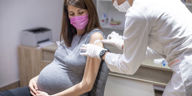 Pregnant woman vaccine