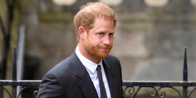 Prince Harry lawsuit