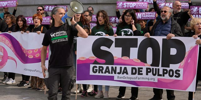 protest in spain