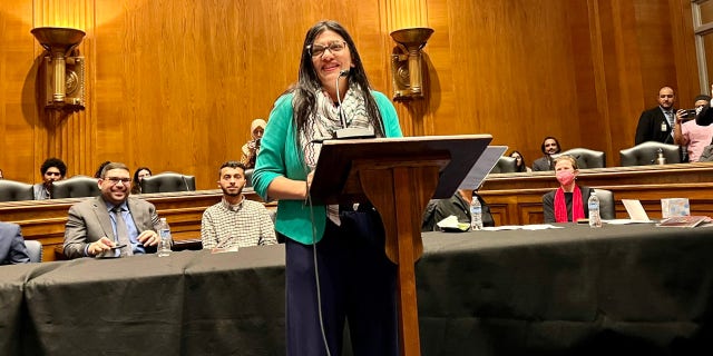 Rashida Tlaib speaks at podium