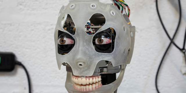Wajah pada robot