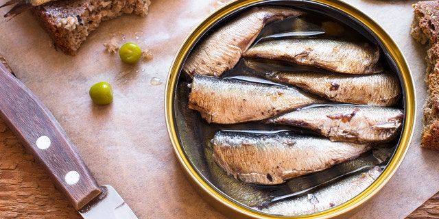 can of sardines