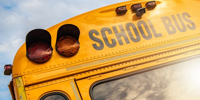 File photo of a school bus