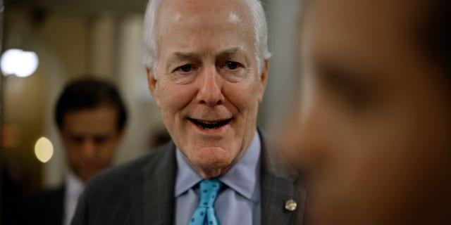 Senate Minority Whip John Cornyn