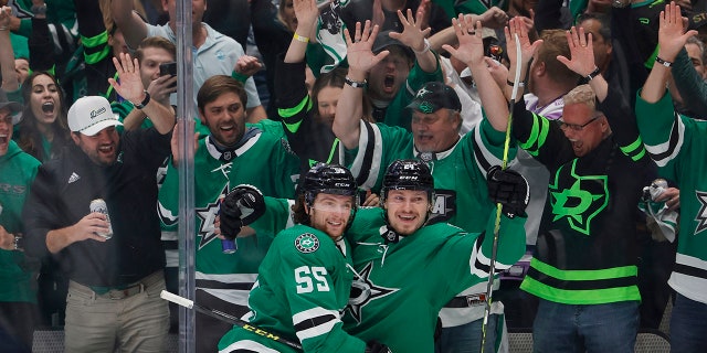 Dallas Stars celebrate with fans