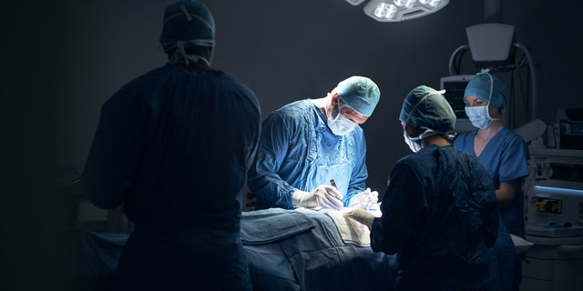 genital surgery transgender gender affirming care