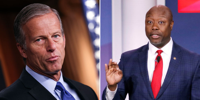 John Thune and Tim Scott