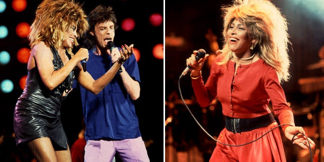 tina turner mick jagger divided photo