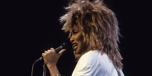 tina turner concert