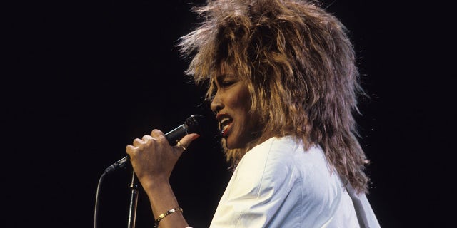tina turner concert