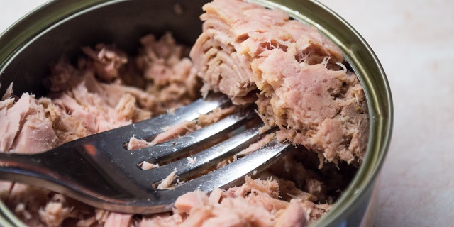 can of tuna