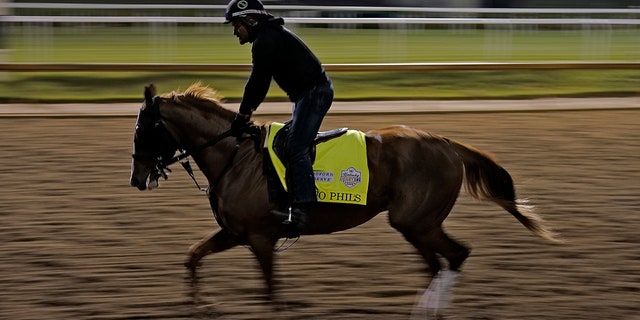 Racehorse running on a track