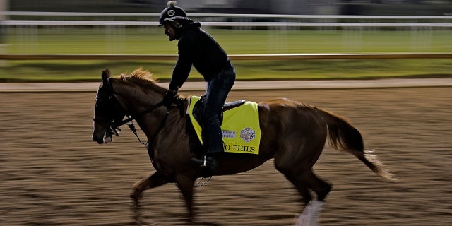 Racehorse running on a track