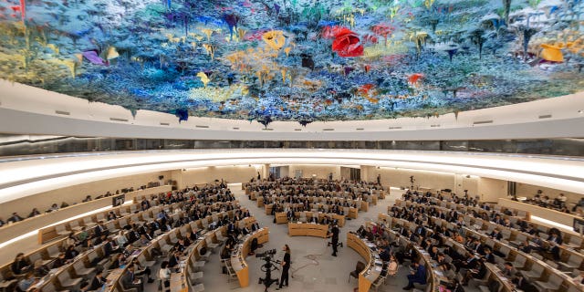 U.N. council
