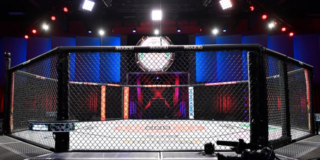MMA ring in Vegas