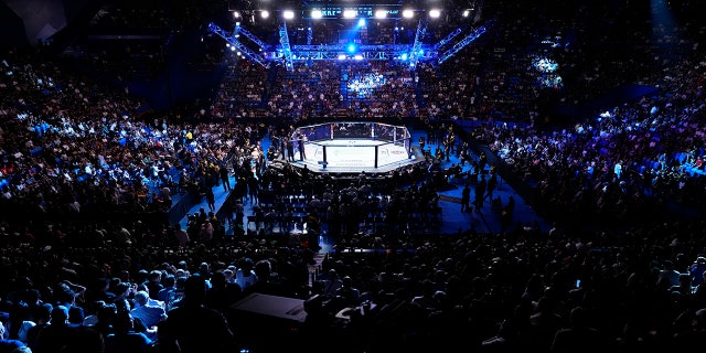 UFC ring in Australia