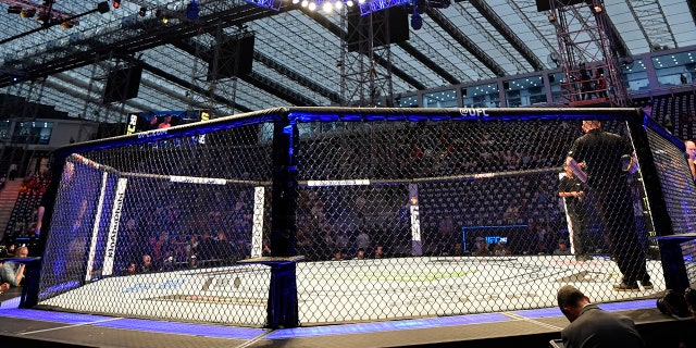 UFC ring