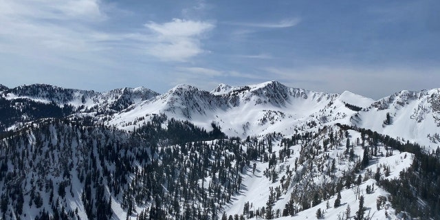 Cottonwood Canyons