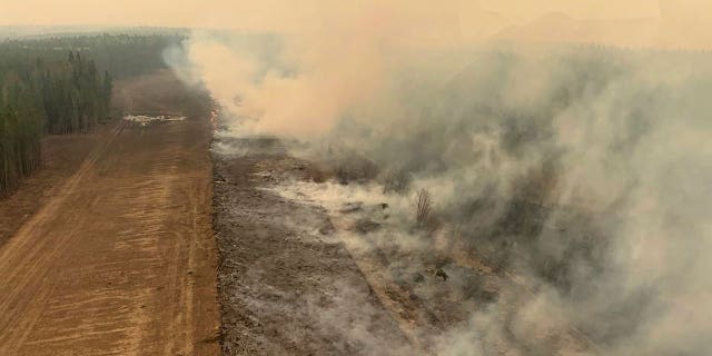 Canada forest burned