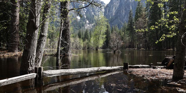 Yosemite National Park