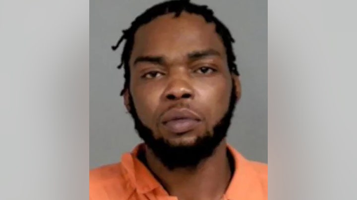 Michigan man wanted after eight starving dogs were rescued and six others found rotting in yard Michigan man wanted after eight starving dogs were rescued and six others found rotting in yard