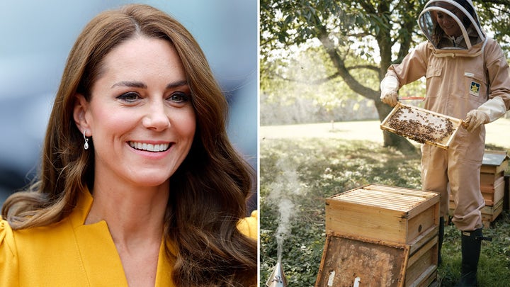 Meghan Markle, Kate Middletons relationship is nonexistent, they were never friends