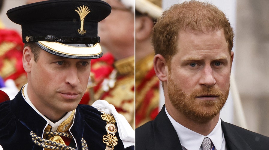 Prince Harry’s comments on Queen Camilla ‘deplorable’: Fitzwilliams