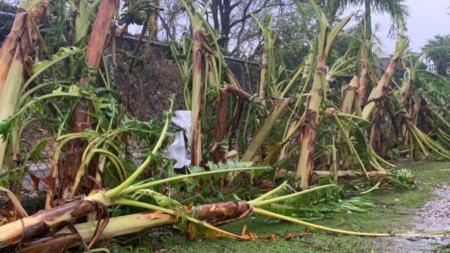 Trees down in Guam