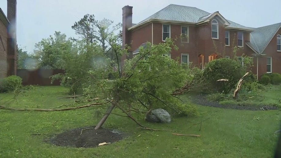 damaged trees in front of home