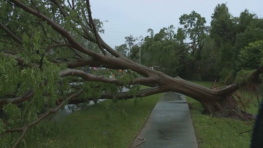 Tornado in Virginia Beach damages dozens of homes; city officials