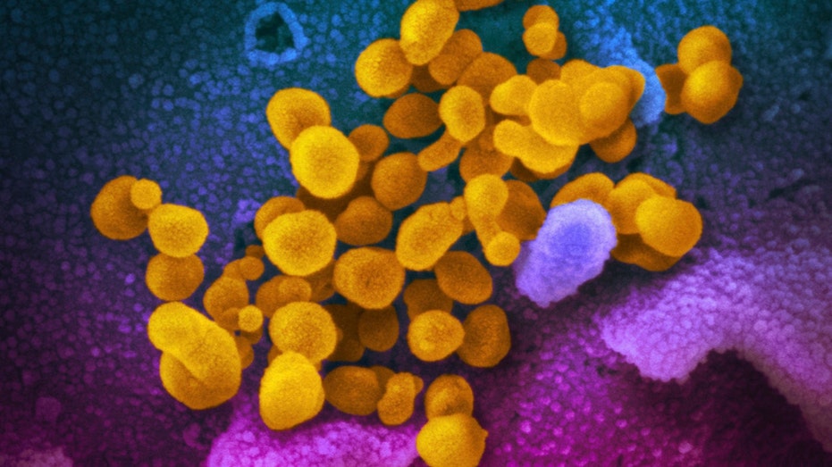 US research finds 1 in 10 adults get long COVID after omicron