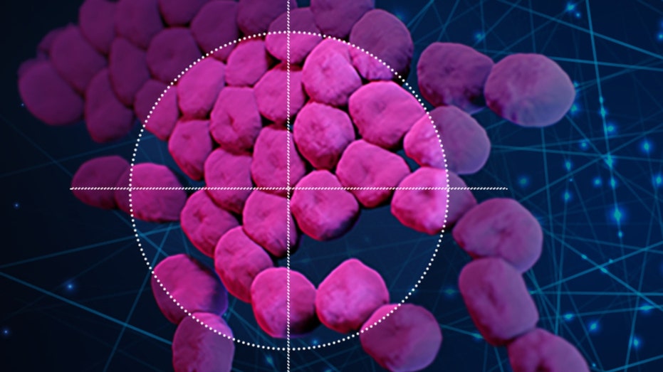 AI is being used by researchers to develop drugs that will destroy the bacteria that cause many drug-resistant diseases.